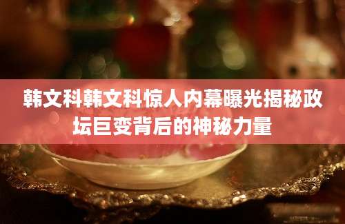韩文科韩文科惊人内幕曝光揭秘政坛巨变背后的神秘力量