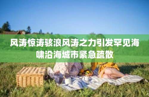 风涛惊涛骇浪风涛之力引发罕见海啸沿海城市紧急疏散