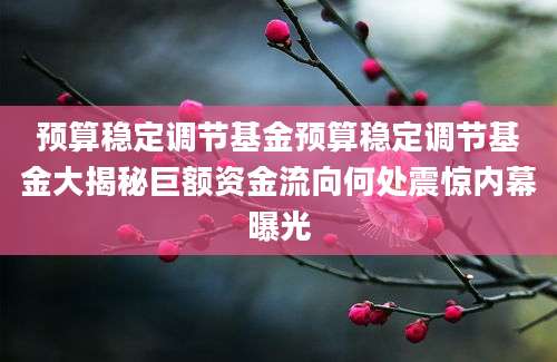 预算稳定调节基金预算稳定调节基金大揭秘巨额资金流向何处震惊内幕曝光