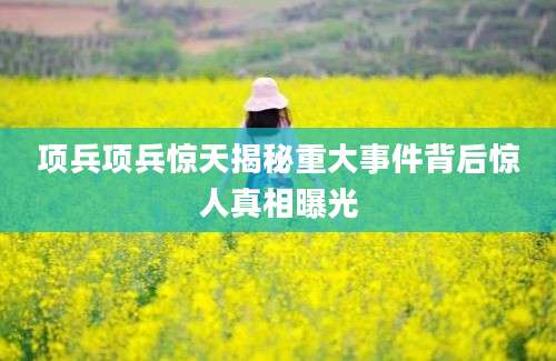 项兵项兵惊天揭秘重大事件背后惊人真相曝光