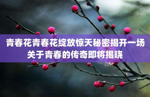 青春花青春花绽放惊天秘密揭开一场关于青春的传奇即将揭晓