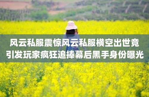 风云私服震惊风云私服横空出世竟引发玩家疯狂追捧幕后黑手身份曝光