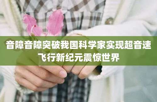 音障音障突破我国科学家实现超音速飞行新纪元震惊世界