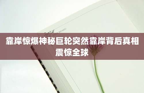 靠岸惊爆神秘巨轮突然靠岸背后真相震惊全球