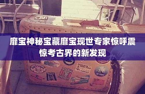 靡宝神秘宝藏靡宝现世专家惊呼震惊考古界的新发现