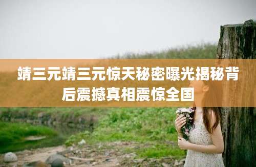 靖三元靖三元惊天秘密曝光揭秘背后震撼真相震惊全国