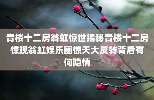青楼十二房翁虹惊世揭秘青楼十二房惊现翁虹娱乐圈惊天大反转背后有何隐情