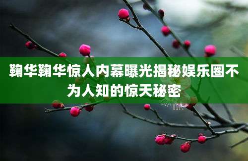 鞠华鞠华惊人内幕曝光揭秘娱乐圈不为人知的惊天秘密