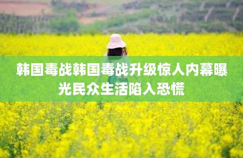 韩国毒战韩国毒战升级惊人内幕曝光民众生活陷入恐慌