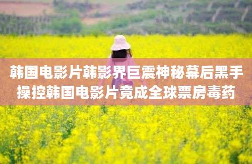 韩国电影片韩影界巨震神秘幕后黑手操控韩国电影片竟成全球票房毒药