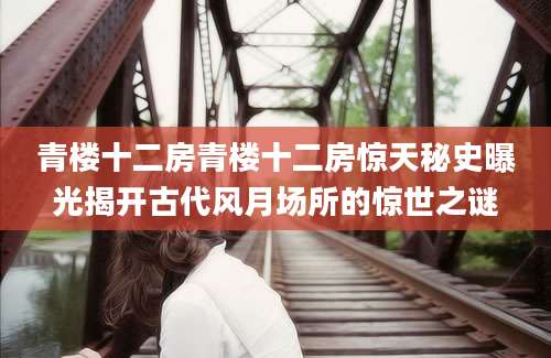 青楼十二房青楼十二房惊天秘史曝光揭开古代风月场所的惊世之谜