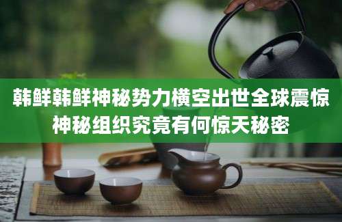 韩鲜韩鲜神秘势力横空出世全球震惊神秘组织究竟有何惊天秘密