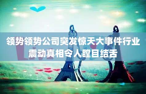 领势领势公司突发惊天大事件行业震动真相令人瞠目结舌