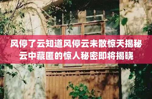风停了云知道风停云未散惊天揭秘云中藏匿的惊人秘密即将揭晓