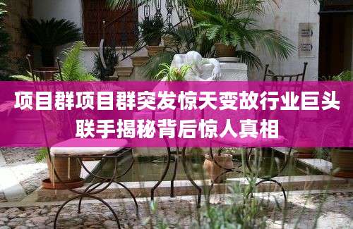 项目群项目群突发惊天变故行业巨头联手揭秘背后惊人真相