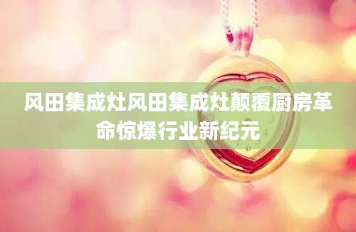 风田集成灶风田集成灶颠覆厨房革命惊爆行业新纪元