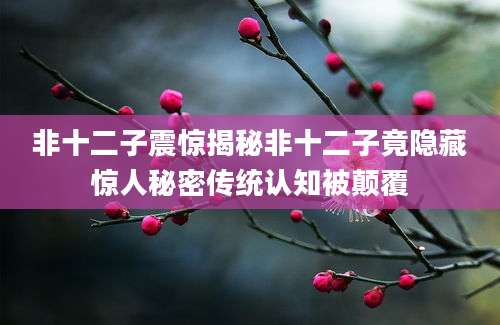 非十二子震惊揭秘非十二子竟隐藏惊人秘密传统认知被颠覆