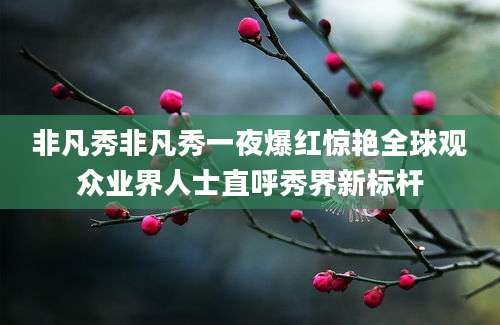 非凡秀非凡秀一夜爆红惊艳全球观众业界人士直呼秀界新标杆