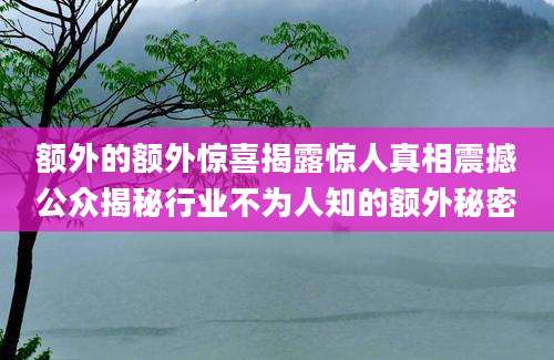 额外的额外惊喜揭露惊人真相震撼公众揭秘行业不为人知的额外秘密