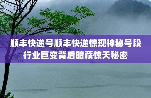 顺丰快递号顺丰快递惊现神秘号段行业巨变背后暗藏惊天秘密