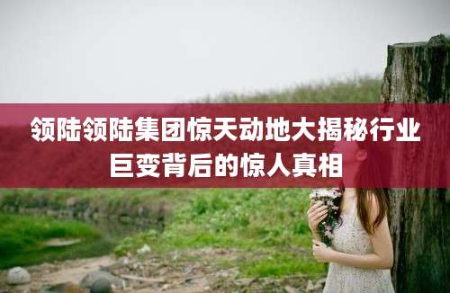 领陆领陆集团惊天动地大揭秘行业巨变背后的惊人真相