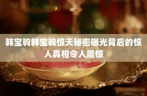 韩宝驹韩宝驹惊天秘密曝光背后的惊人真相令人震惊