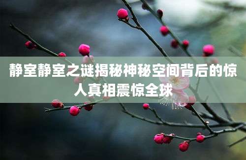 静室静室之谜揭秘神秘空间背后的惊人真相震惊全球