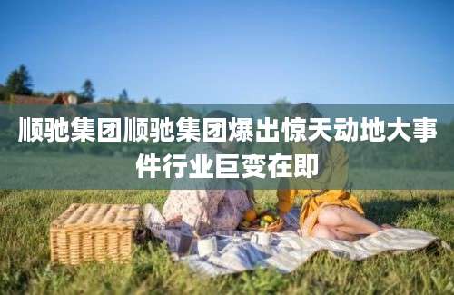 顺驰集团顺驰集团爆出惊天动地大事件行业巨变在即