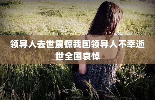 领导人去世震惊我国领导人不幸逝世全国哀悼