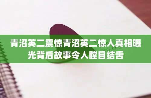青沼英二震惊青沼英二惊人真相曝光背后故事令人瞠目结舌