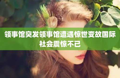 领事馆突发领事馆遭遇惊世变故国际社会震惊不已