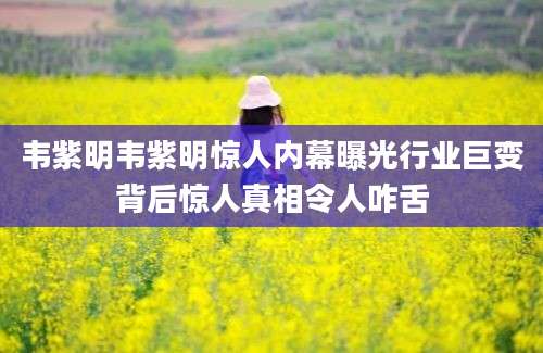 韦紫明韦紫明惊人内幕曝光行业巨变背后惊人真相令人咋舌