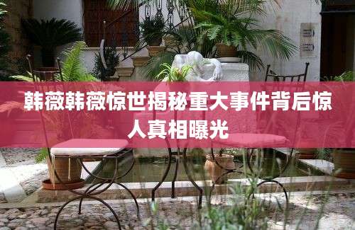 韩薇韩薇惊世揭秘重大事件背后惊人真相曝光