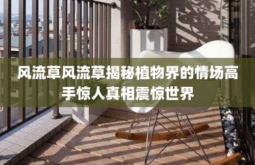 风流草风流草揭秘植物界的情场高手惊人真相震惊世界