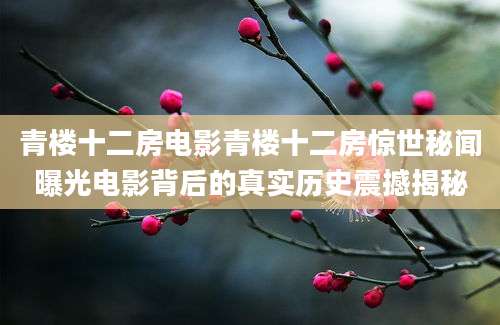 青楼十二房电影青楼十二房惊世秘闻曝光电影背后的真实历史震撼揭秘