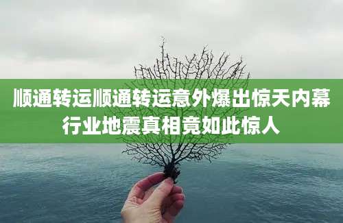 顺通转运顺通转运意外爆出惊天内幕行业地震真相竟如此惊人