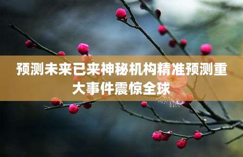 预测未来已来神秘机构精准预测重大事件震惊全球