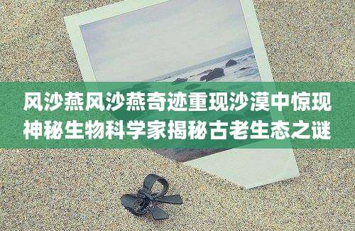 风沙燕风沙燕奇迹重现沙漠中惊现神秘生物科学家揭秘古老生态之谜