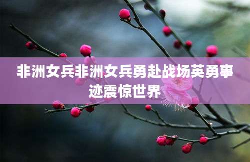 非洲女兵非洲女兵勇赴战场英勇事迹震惊世界