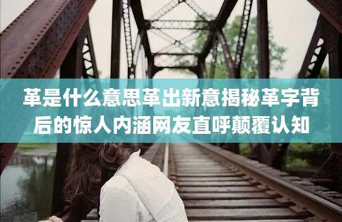 革是什么意思革出新意揭秘革字背后的惊人内涵网友直呼颠覆认知