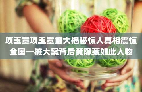项玉章项玉章重大揭秘惊人真相震惊全国一桩大案背后竟隐藏如此人物