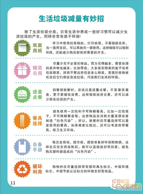 垃圾分类生活指南 每位居民的日常环保必修课