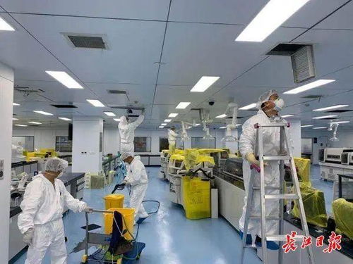 武汉全面复诊 医疗服务回归日常，城市生活焕发新生